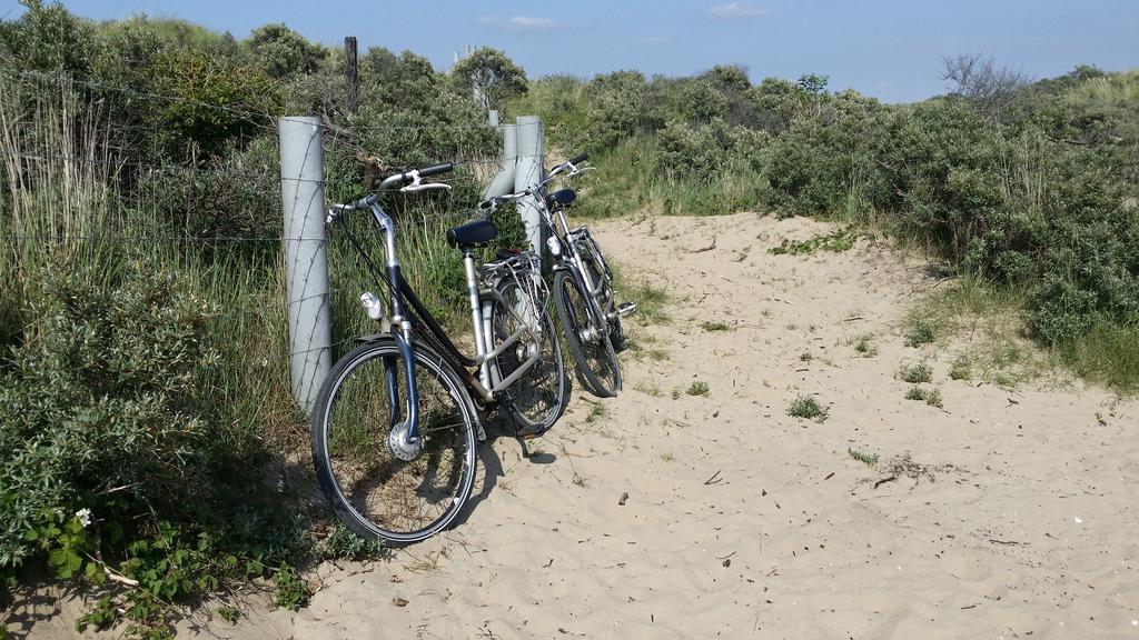 Appartement Bos En Duin Vogelenzang Luaran gambar